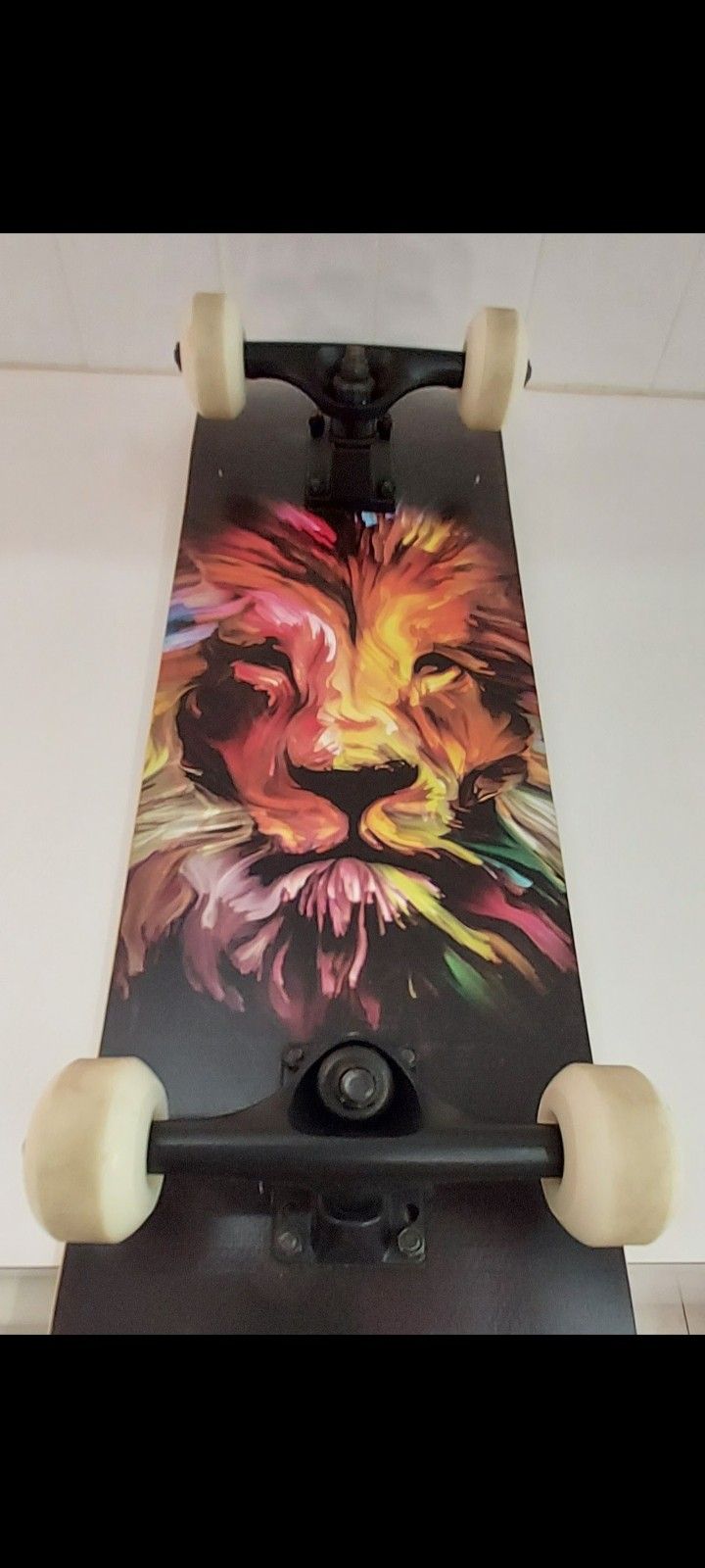 Skateboard With Lion Painting