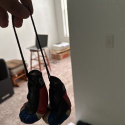 Dominican Republic Car Boxing Gloves 