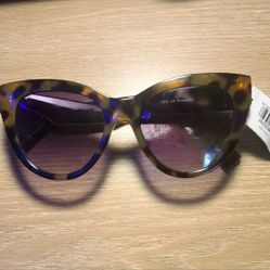 Sunglasses From Express - Brand New