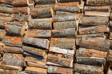 Firewood 1+ cord (truck and trailer)
