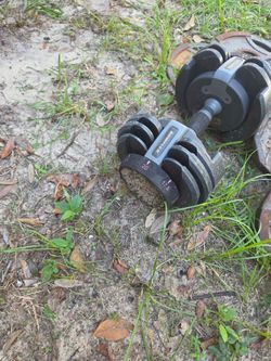 Bench weights