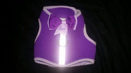 XS Dog Harness