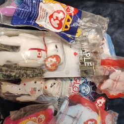 On What You See Here Selling The Bundle Of Beanie Babies Packaged Up For $60 For Everything