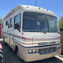 1995 Bounder 31 Foot 