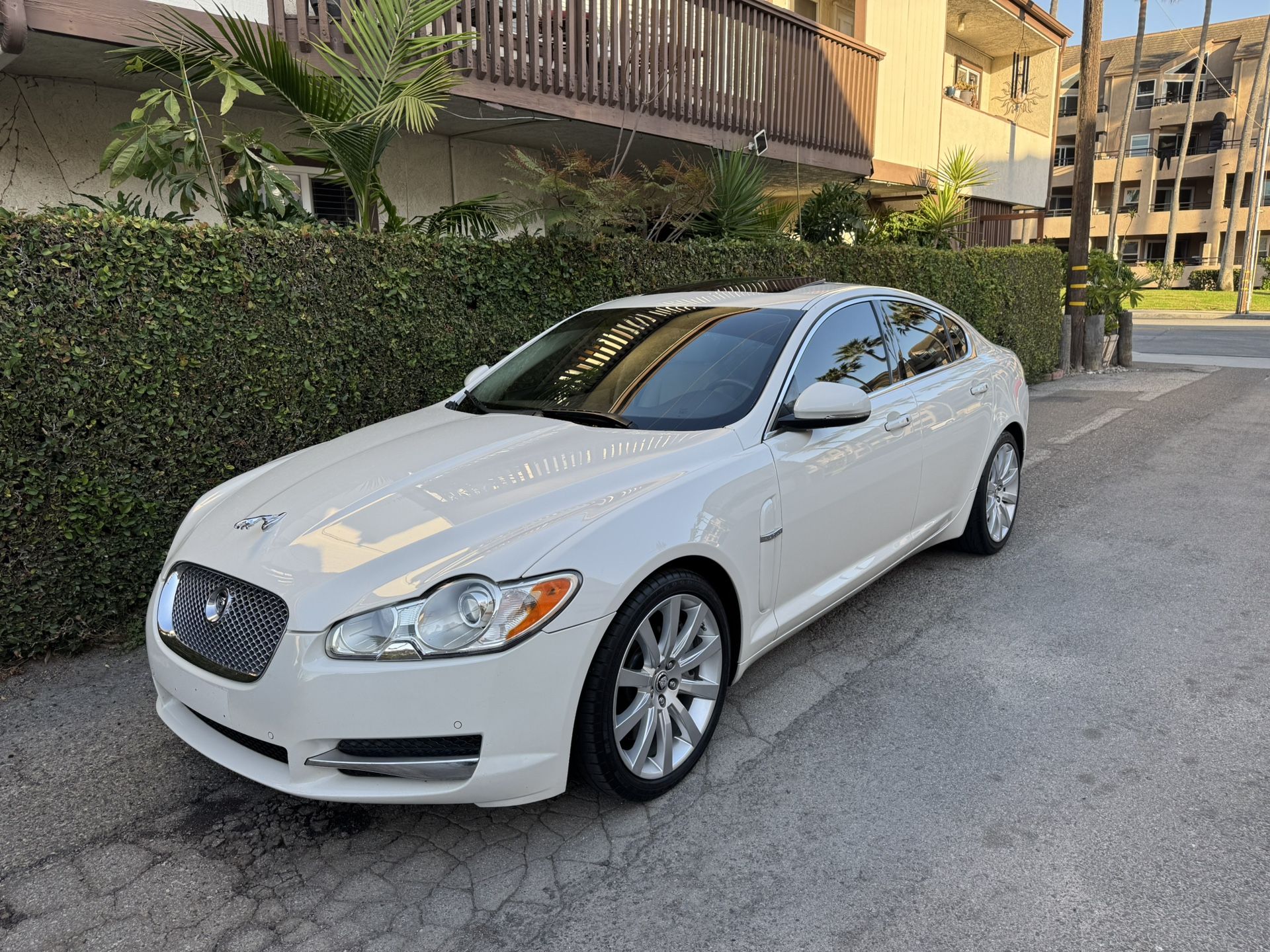 BEAUTIFUL LUXURY JAGUAR 5.0 V8 LOW MILES