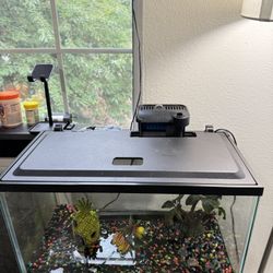 10 Gallon Tank With Everything Works