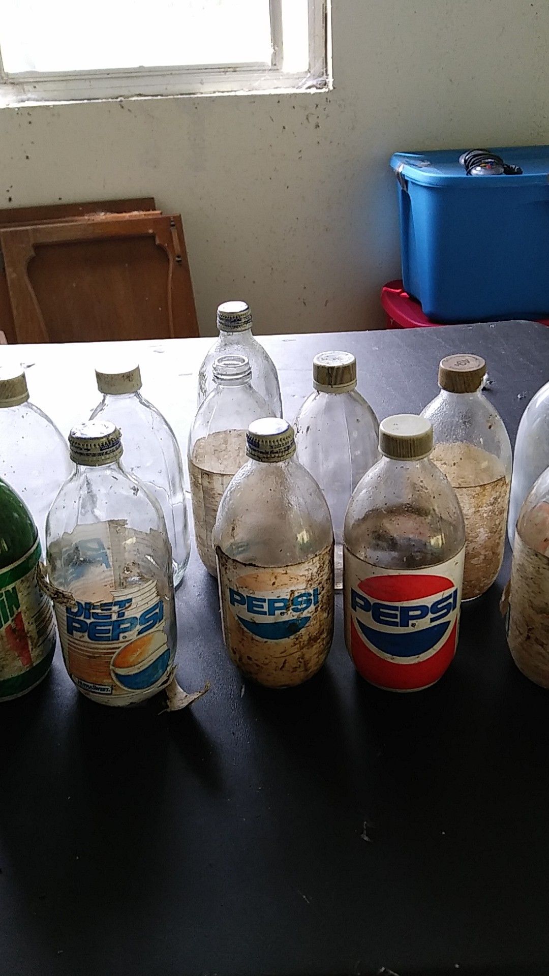 Soda Pop Bottles