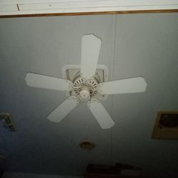 Ceiling Fan