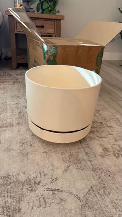 Large 14” Cream Ceramic Planter with Saucer