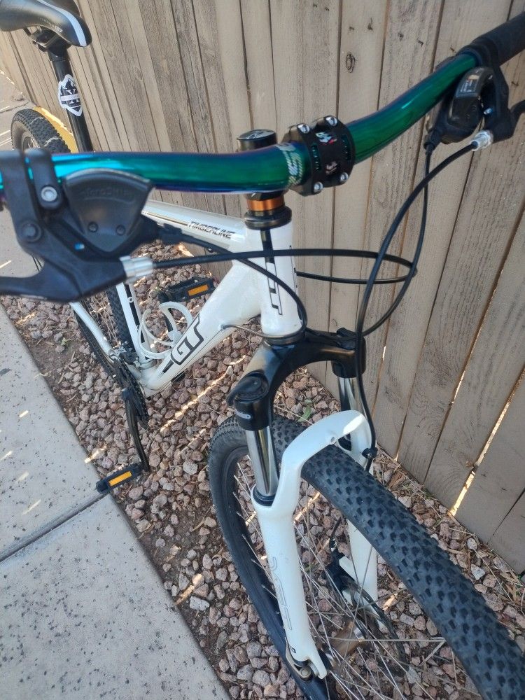GT 29er Mountain Bike
