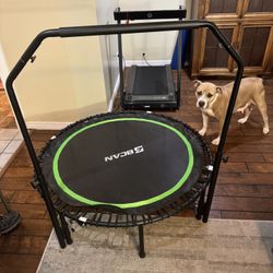 Trampoline - Fitness