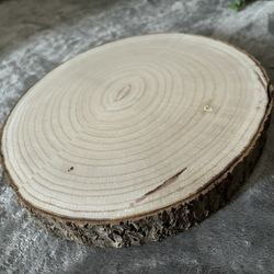 10 Wood Slices