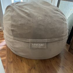 Love Sac Bean Bag Chair