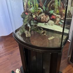 Black Fish Tank With All Esssentials