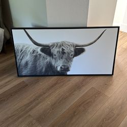 Highland Cow Framed Canvas 