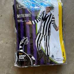 Bettle Juice Mens Costume