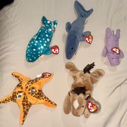 Original Beanie Babies with Tags