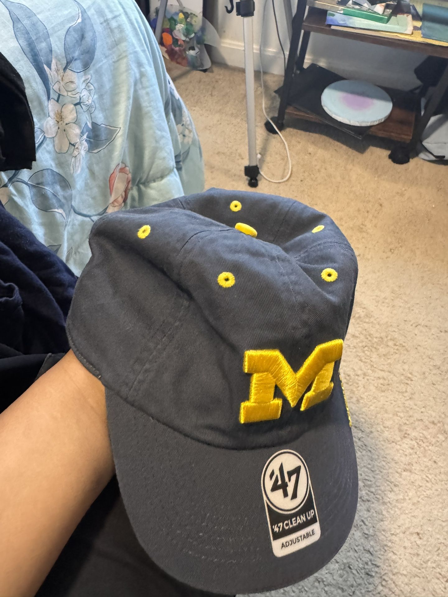Baseball Michigan Hat