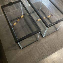 Reptile Enclosure With Lids 