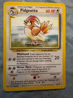 Pidgeotto #22