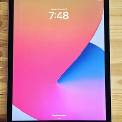 Pristine! Apple iPad Pro (12.9-inch), Space Gray, 256GB, Wi-Fi +  Apple Charger