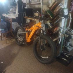 Electric Bike