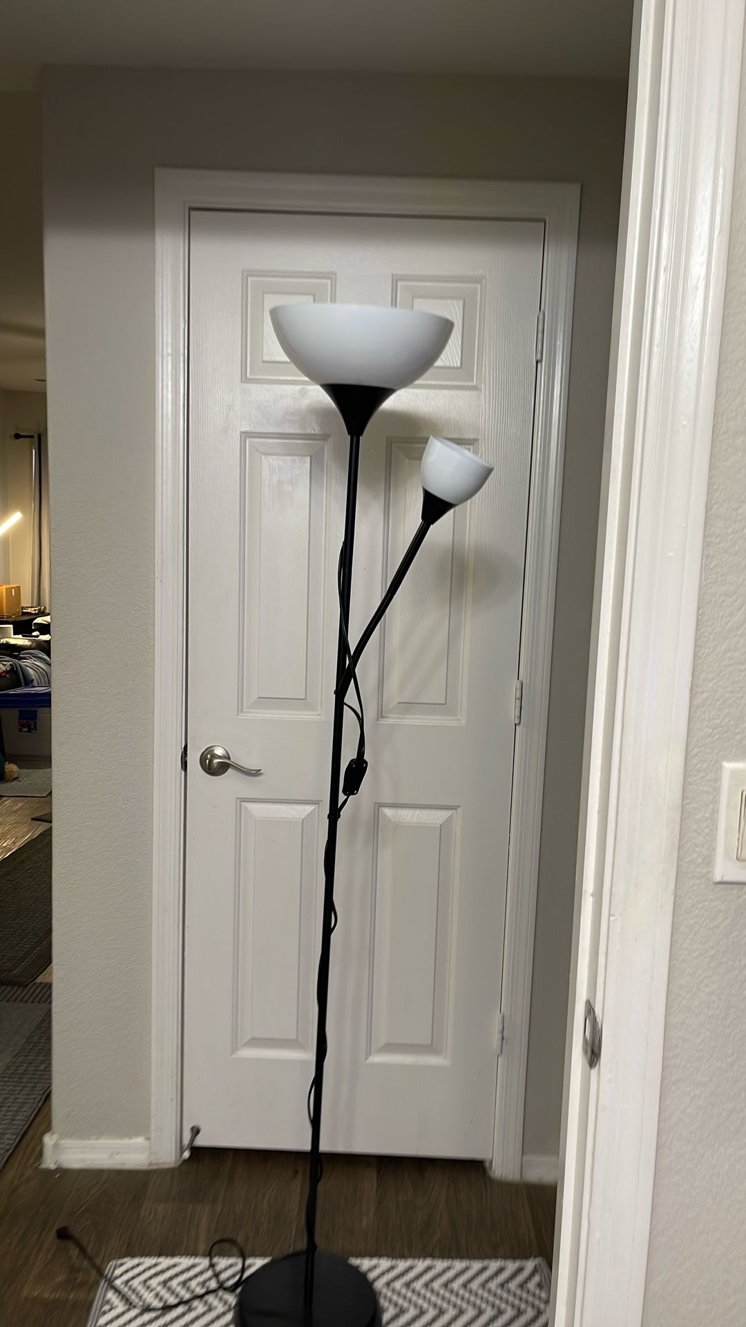Black Floor Lamp
