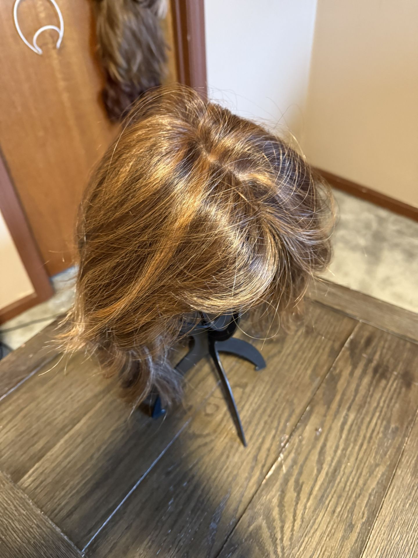 Veronica Monofilament Wig