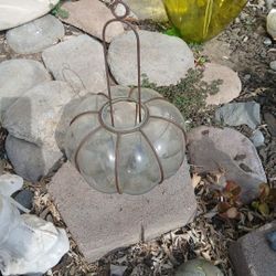Glass Planter with Hanger
