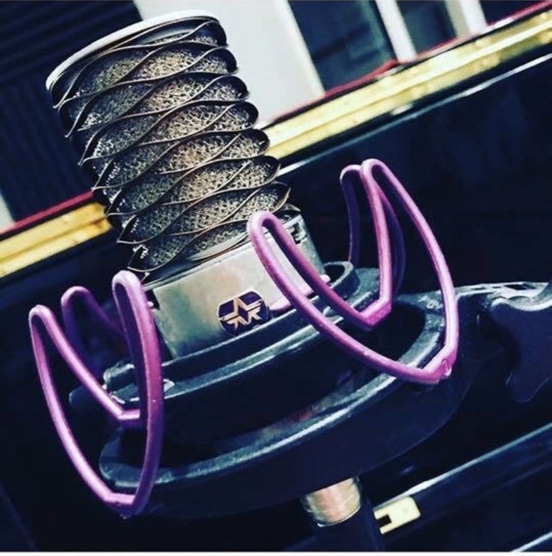 Aston Recording Mic & Cradle