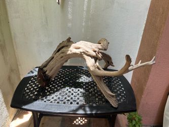 Driftwood Piece – Aquarium / Aquascaping / Decor