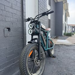 Engwe M20 Dual Battery Bike