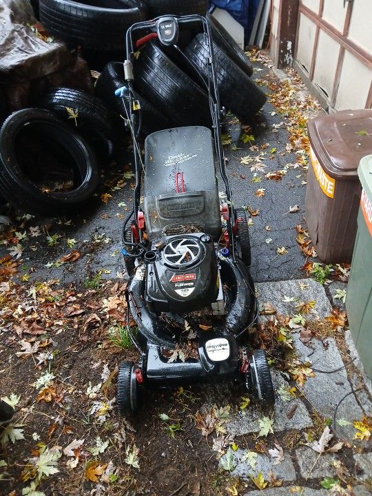 Briggs And Stratton 7.25hp Self Propelled