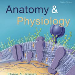 Anatomy & Physiology Sixth Edition 