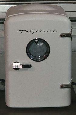 Portable fridge