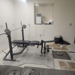 Olympic Weight Bench
