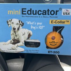 Dog Educador