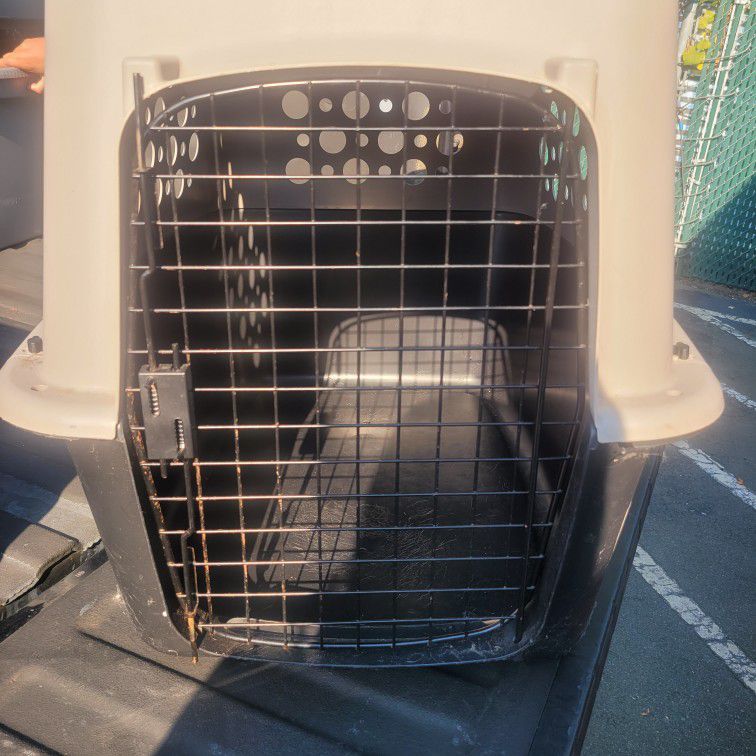 Dog Cargo Crate