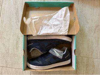 Men’s Nike SB Delta