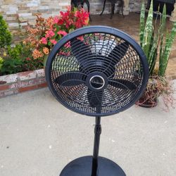 Fan