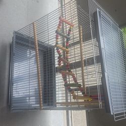 Cage For Birds 