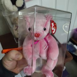 Over 3000 Beanie Babies (All Generations)