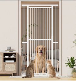 Cat, Kid, Dog or ? Gate