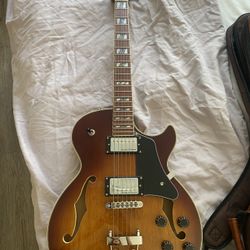 Beautiful Electric Guitar