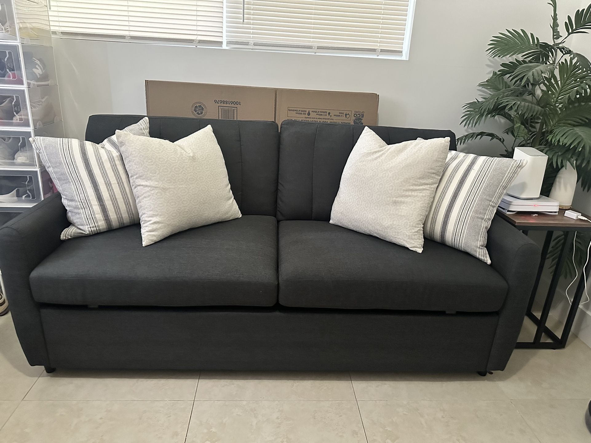 Sofa Bed ( Pull Out Couch)