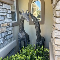 Bronze Giraffes 