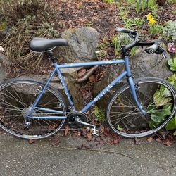 Bianchi Volpe Steel Touring/Commuter/Cyclocross Bike - Shimano Tiagra 10-Speed - Excellent Condition!