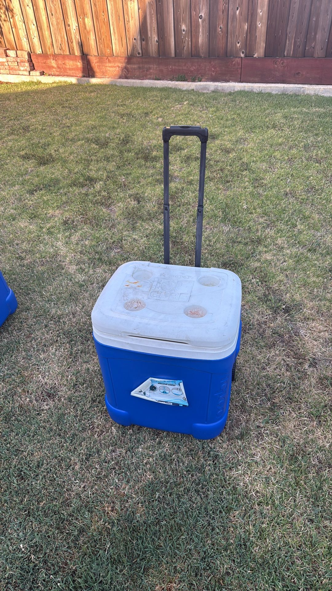 IGLOO ice cube Cooler