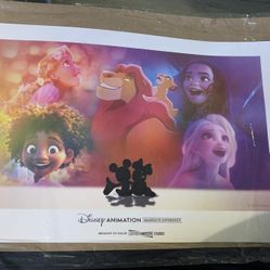 Disney Animation Immersive Experience Poster