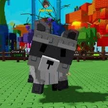grow a garden RACCOON PET